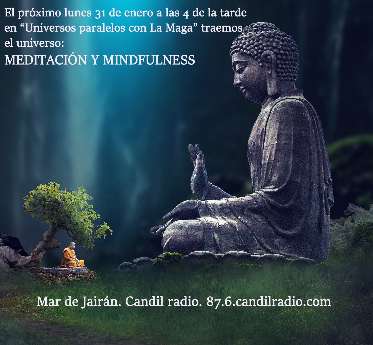 Programa 33
